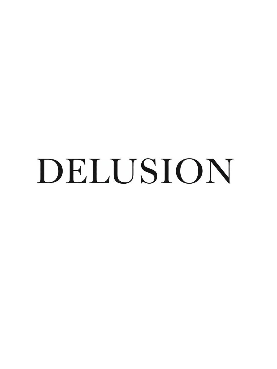 Delusion poster preview