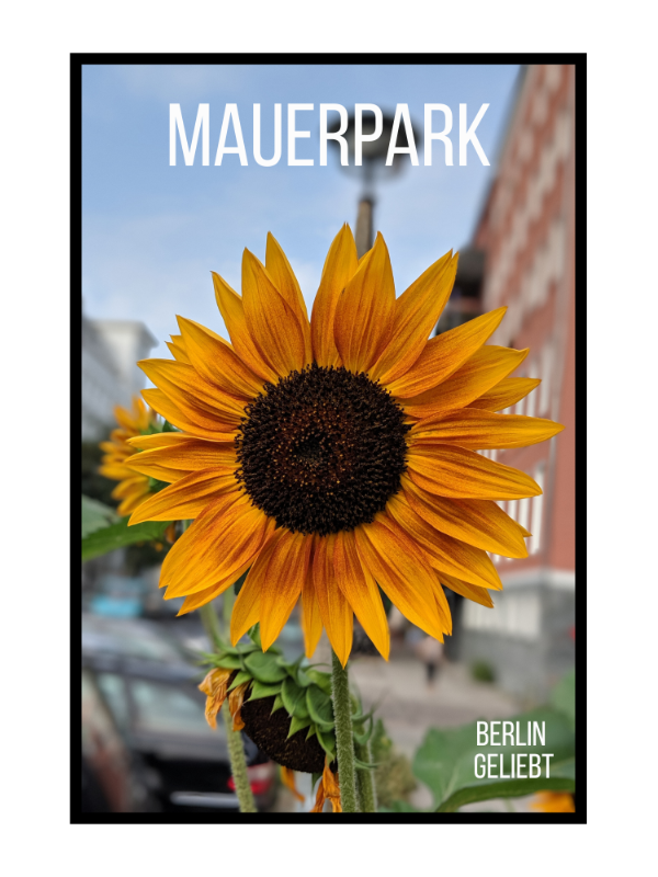 Mauerpark